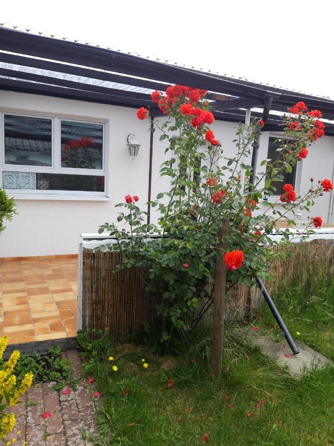 Bungalow Usedom Козеров Экстерьер фото